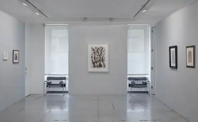 Jason McCoy Gallery