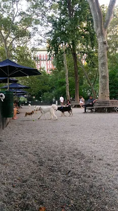 Jemmy's Dog Run