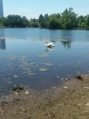 Jersey City Reservoir #3