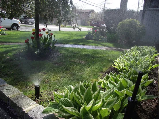Jimmy's Lawn Sprinkler Services, Inc.