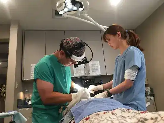 JK Facial Plastics - John Kang, MD