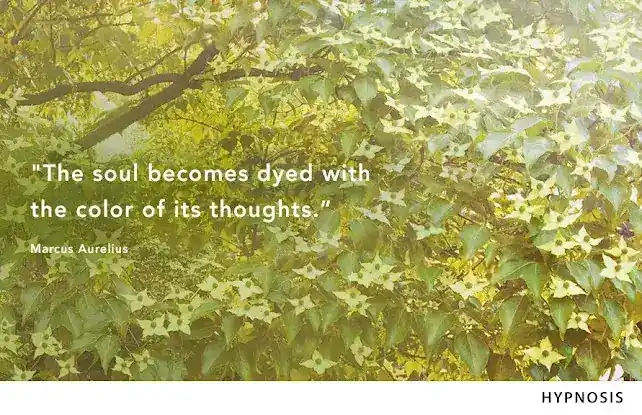 Jo Liu - NYC Spiritual Life Coaching