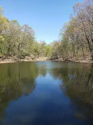 Jones Woods Park