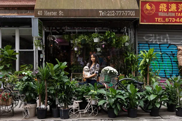 Joy Flower Pot NYC