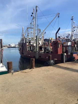 JW Marine Surveyors