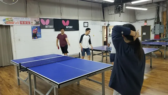 K Ping Pong Club