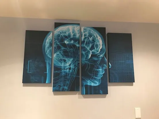 Kaplan Brain & Body