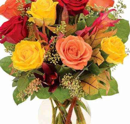 Kara Florist