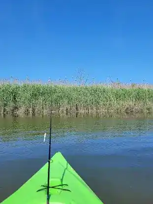 Kayak Launch - Mill Creek Point Park