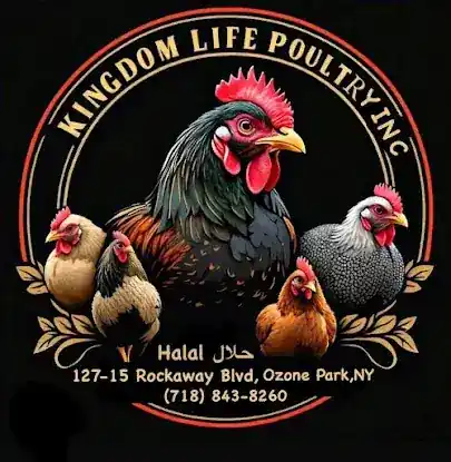 KINGDOM LIVE POULTRY (حلال)(HALAL)