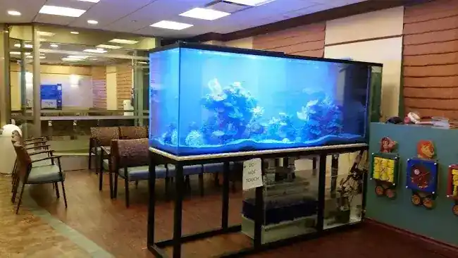 Kings Fish Tank & Maintenance
