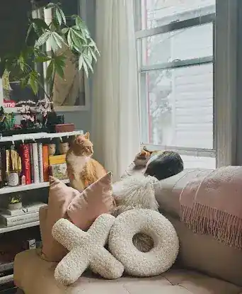 KittyKind