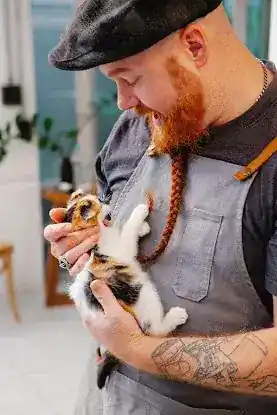 KittysGrow pet site