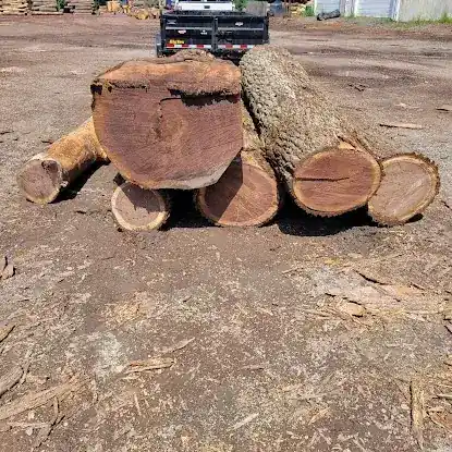 Klein & Sons Logging
