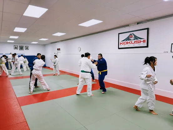 Kokushi Budo Institute