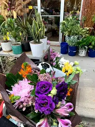 La Catrina Flower Studio