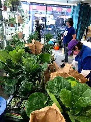La La Plant Shop