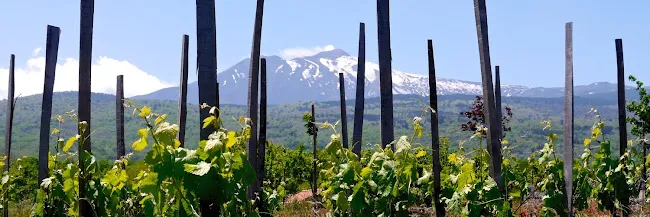 La RosaWorks Sicily Tours and Travel