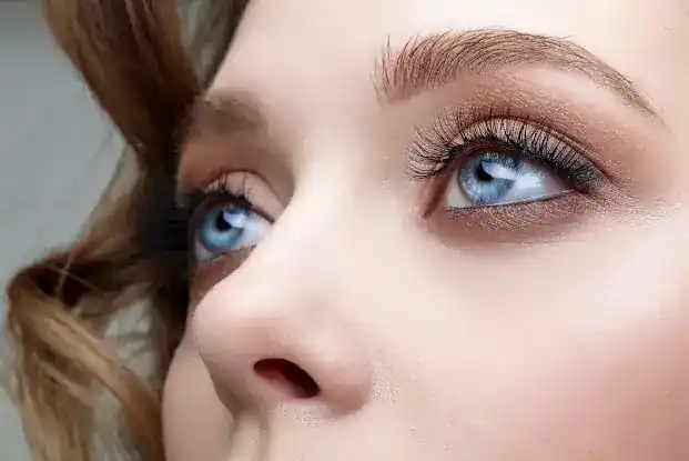 Lashes Media Beauty