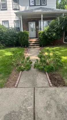 Lawn in Order - Ridgefield Park