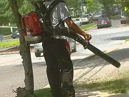 Leaf Blowers NYC