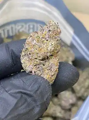 Leafly Cannabis Recreational Weed Delivery Dispensary