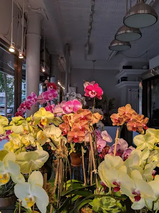 Lenox Hill Florist & Events