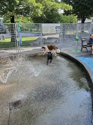Leroy Street Dog Park