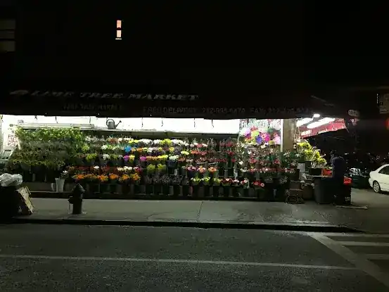 Lime Tree Market