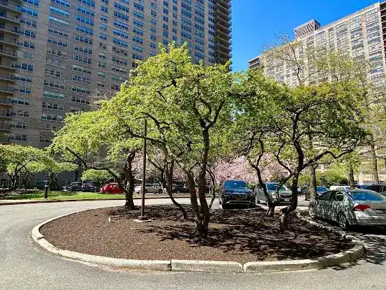 Lincoln Towers Apartments