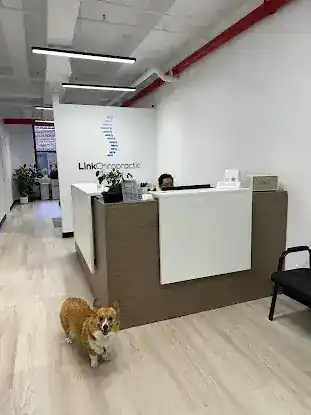 Link Chiropractic
