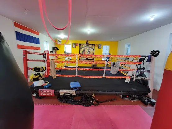 Lions Roar Boxing Gym
