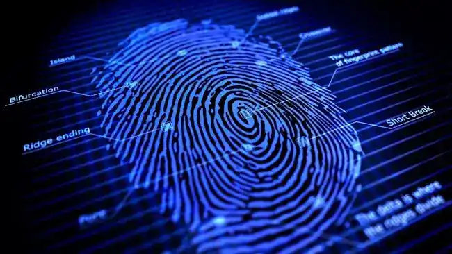 Lisa's Mobile Ink Fingerprinting Services.