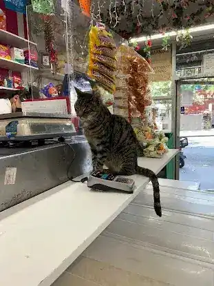 Little Mexico Meat Market