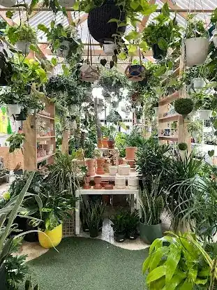 Little Shop of Soil