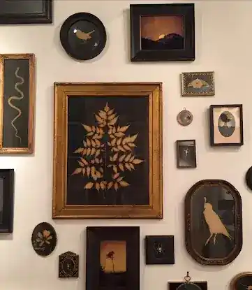 Littlejohn Contemporary Art