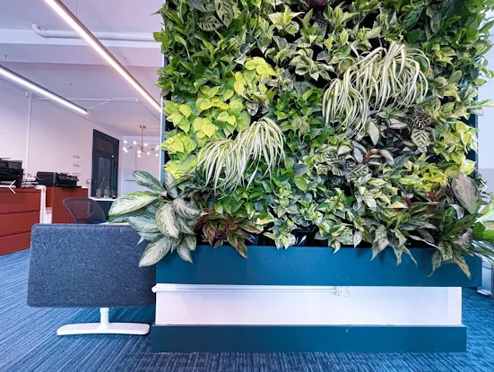 Lively Plant Systems