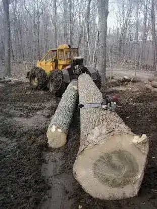 Logging , Harvey Professional Timber Harvesting