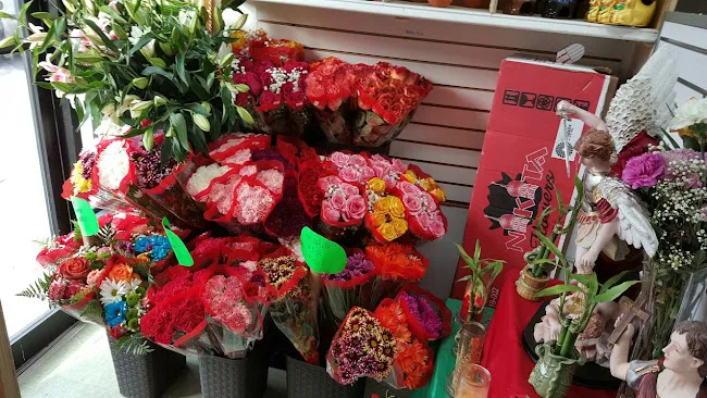 Lolas Botanica