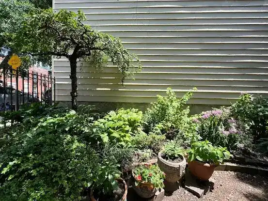 Long Island City Community Garden