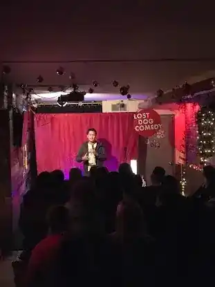 Lost Dog Comedy