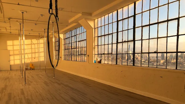 Lovely Lioness Pole Dance & Aerial Fitness - Union City