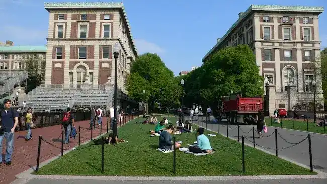 Low Plaza