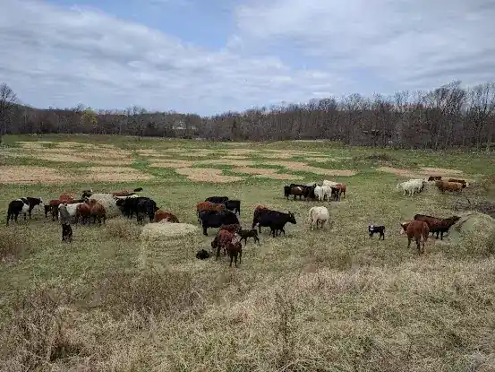 Lowland Farm