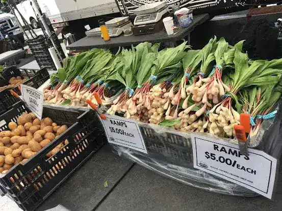Lucky Dog Organic Farm - Union Square