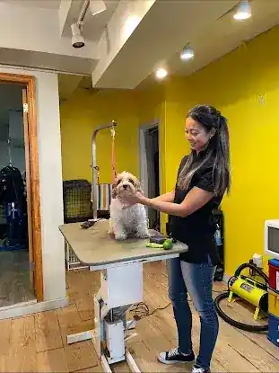 Lucky Paws Pet Grooming LLC