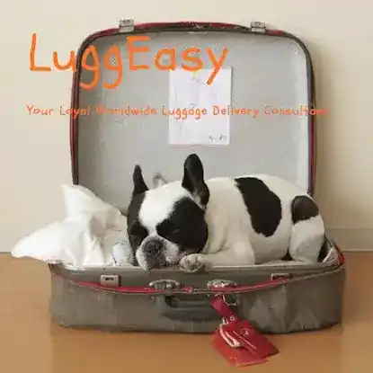 LuggEasy老有寄 | FedEx官方推荐合作伙伴 | 北美行李快递领导品牌 |顺丰回国行李专线| 个人国际小包裹 | 提前预约服务 | 享95折