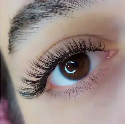 Lush Lash Studio