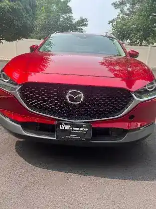 Lynx Auto Group