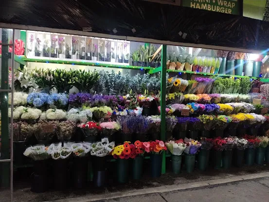 M & V Flower Shop